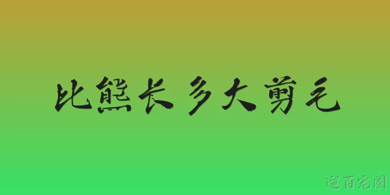 比熊长多大剪毛