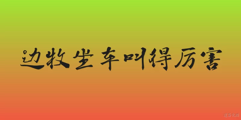 边牧坐车叫得厉害