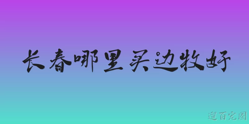 Where to buy a Border Collie in Changchun