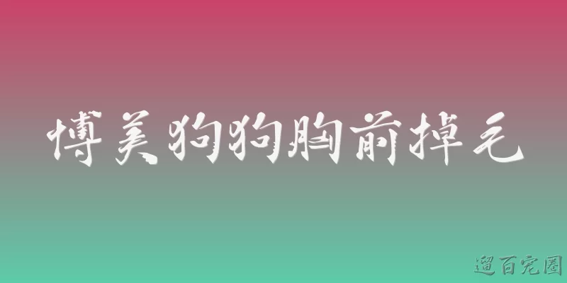 博美狗狗胸前掉毛