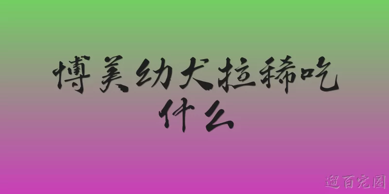 博美幼犬拉稀吃什么