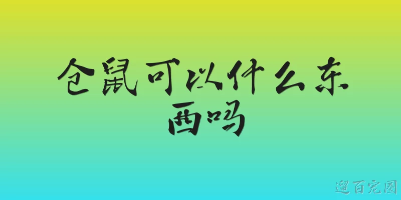 仓鼠可以什么东西吗