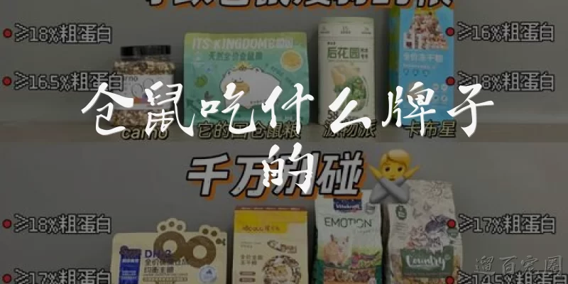 What brand of food do hamsters eat?