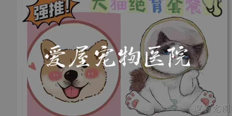 爱屋宠物医院