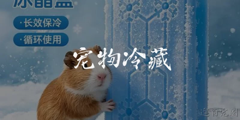 宠物冷藏