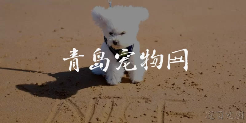 青岛宠物网:青岛宠物网是什么？