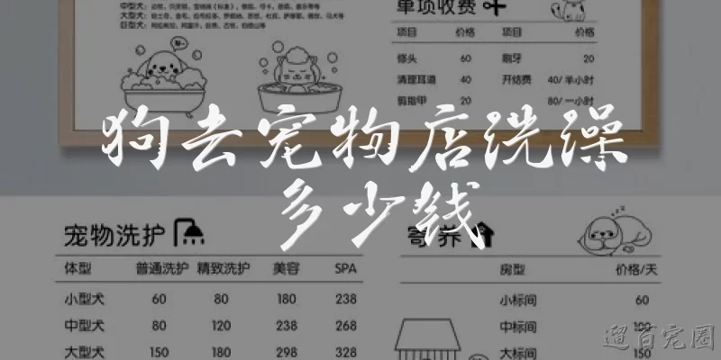狗去宠物店洗澡多少钱:狗去宠物店洗澡一般多少钱？