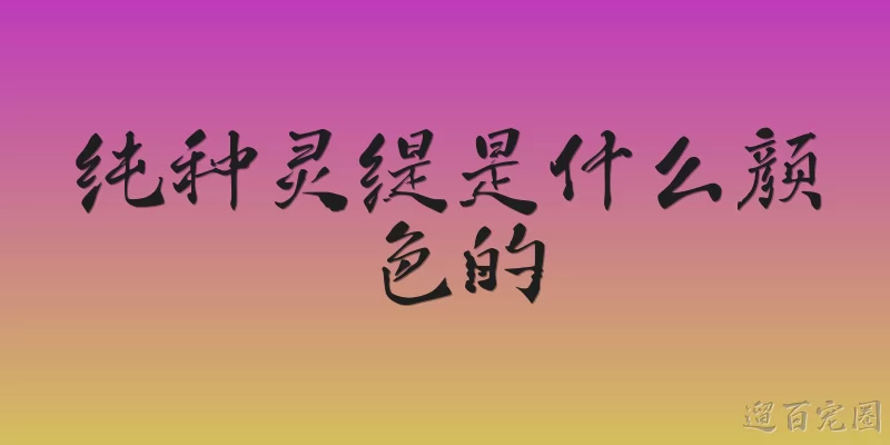 纯种灵缇是什么颜色的