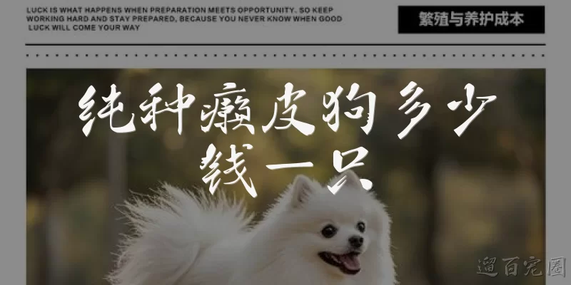 纯种癞皮狗多少钱一只