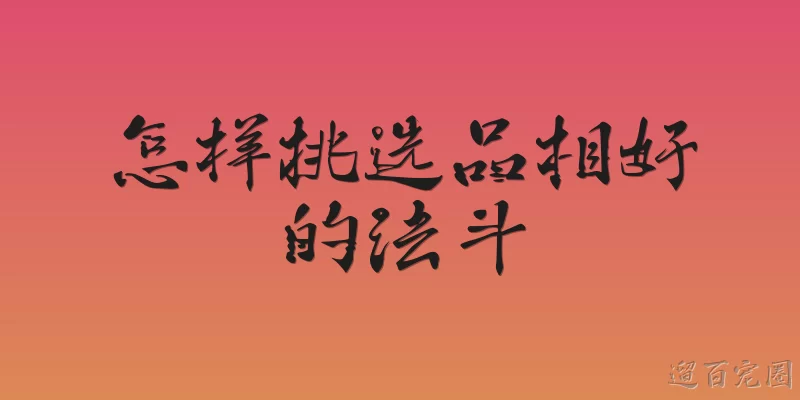 怎样挑选品相好的法斗
