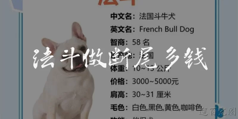 法斗做断尾多钱
