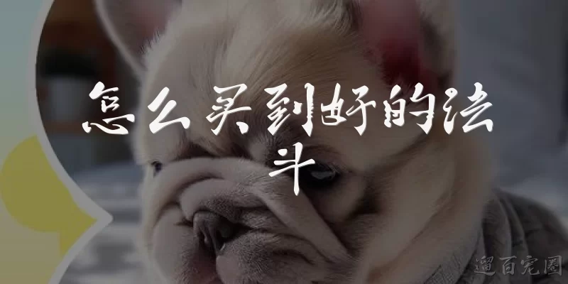 怎么买到好的法斗:如何判断一只法斗是否健康？