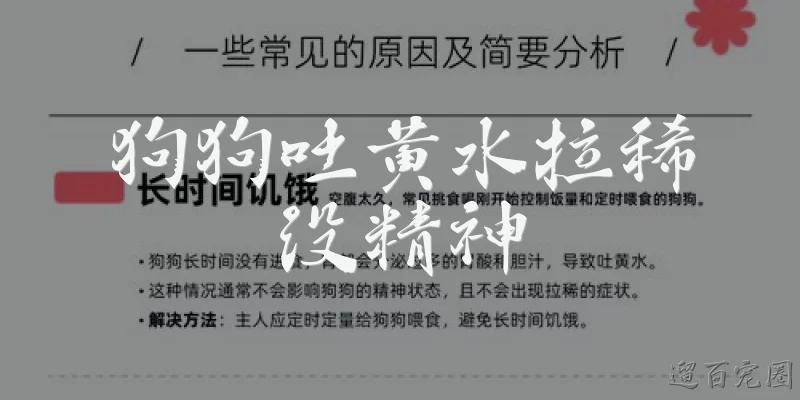 狗狗吐黄水拉稀没精神