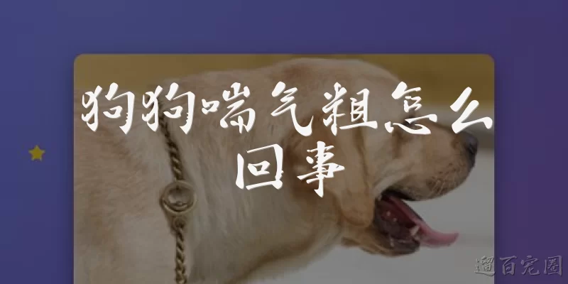 狗狗喘气粗怎么回事