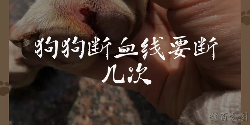狗狗断血线要断几次:狗狗断血线要断几次？