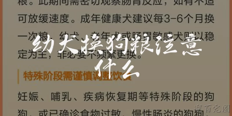 幼犬换狗粮注意什么