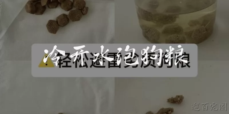 冷开水泡狗粮