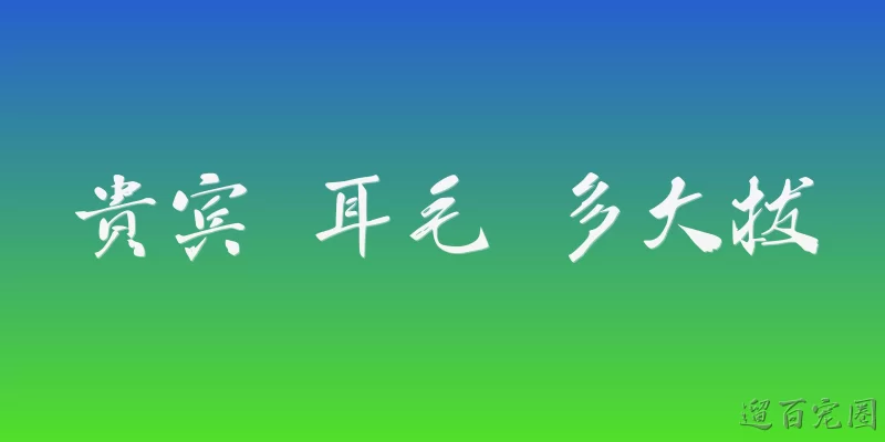 贵宾 耳毛 多大拔