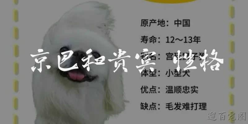 Pekingese and Poodle Temperament
