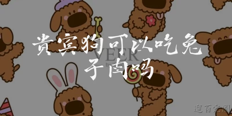 Can Poodles Eat Rabbit Meat?