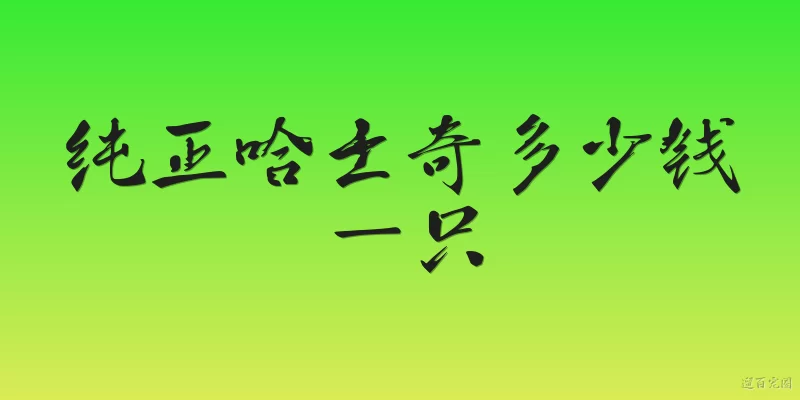 纯正哈士奇多少钱一只