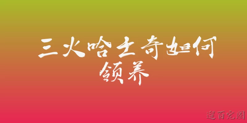 三火哈士奇如何领养
