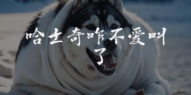 哈士奇咋不爱叫了:哈士奇突然不爱叫了，可能是什么原因导致的？