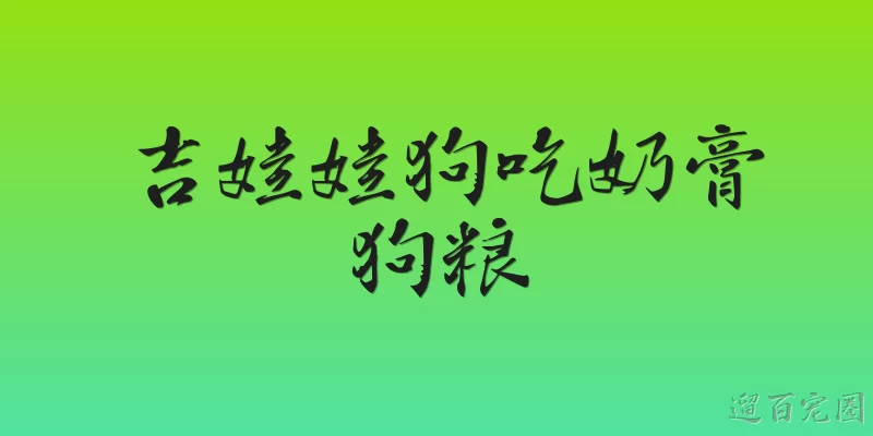 吉娃娃狗吃奶膏狗粮