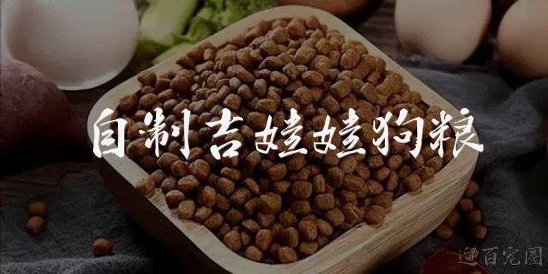 自制吉娃娃狗粮
