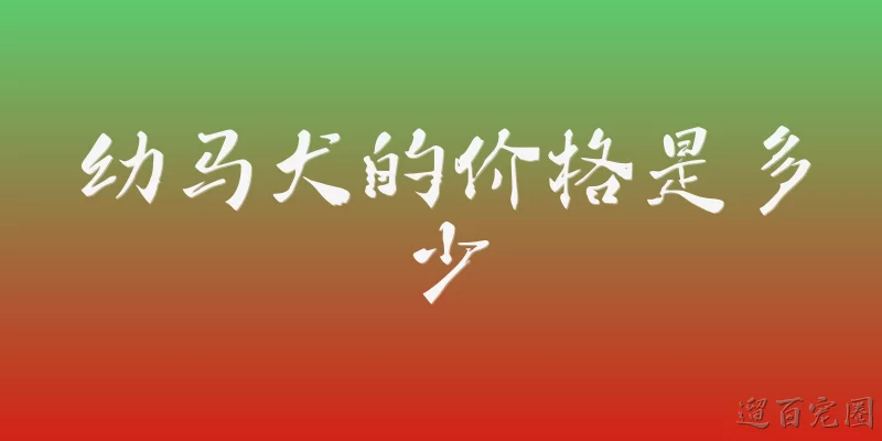 幼马犬的价格是多少