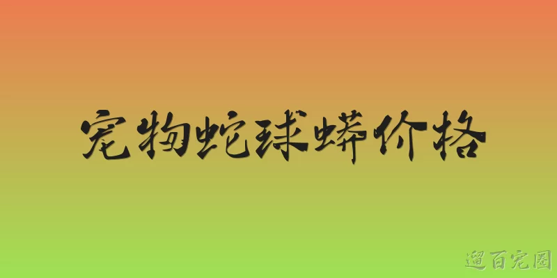 宠物蛇球蟒价格
