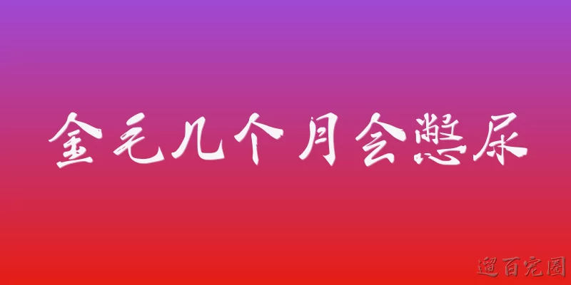 金毛几个月会憋尿