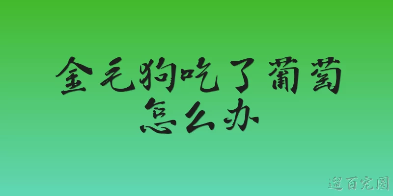 金毛狗吃了葡萄怎么办