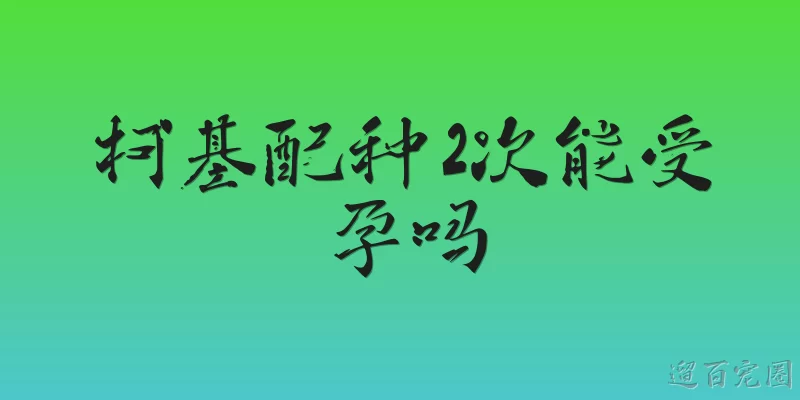 柯基配种2次能受孕吗