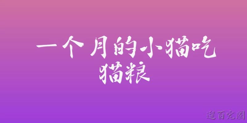一个月的小猫吃猫粮