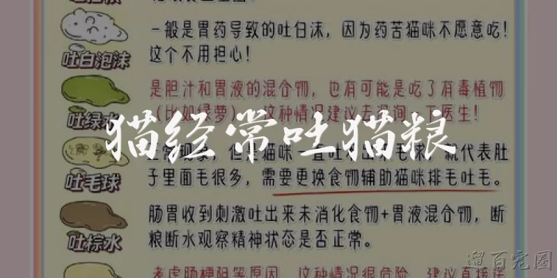 猫经常吐猫粮