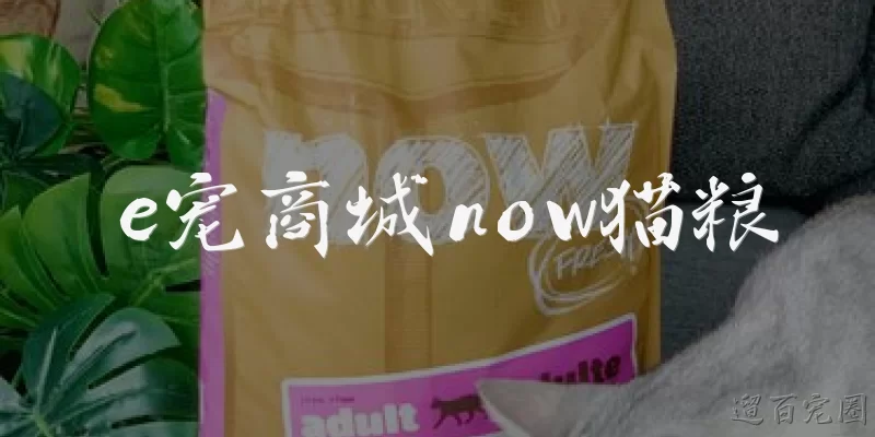 e宠商城now猫粮:e宠商城上的Now猫粮是正品吗？