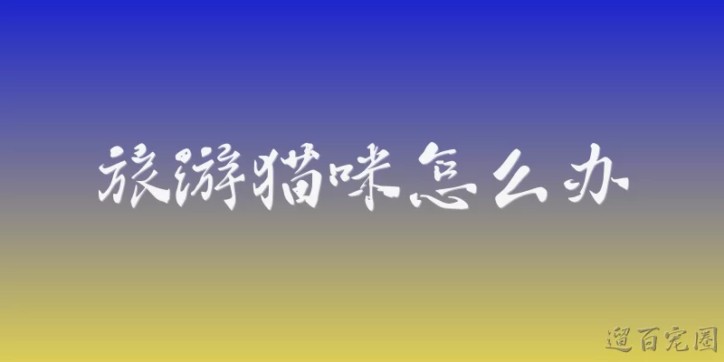 旅游猫咪怎么办