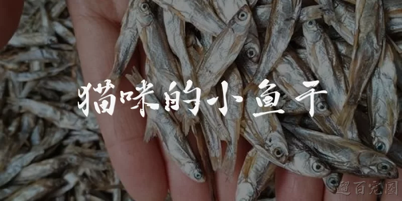猫咪的小鱼干