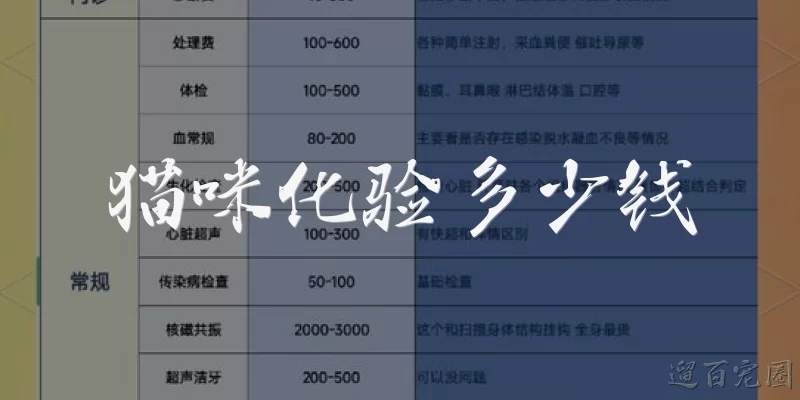 猫咪化验多少钱