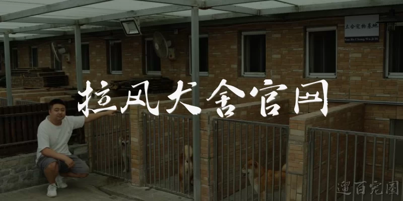 拉风犬舍官网