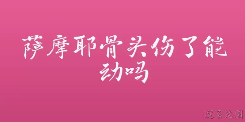 萨摩耶骨头伤了能动吗