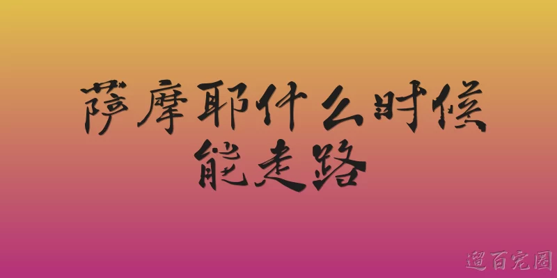 萨摩耶什么时候能走路