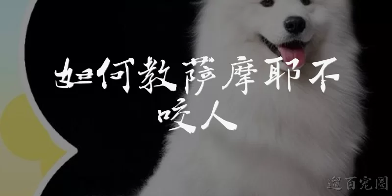 如何教萨摩耶不咬人