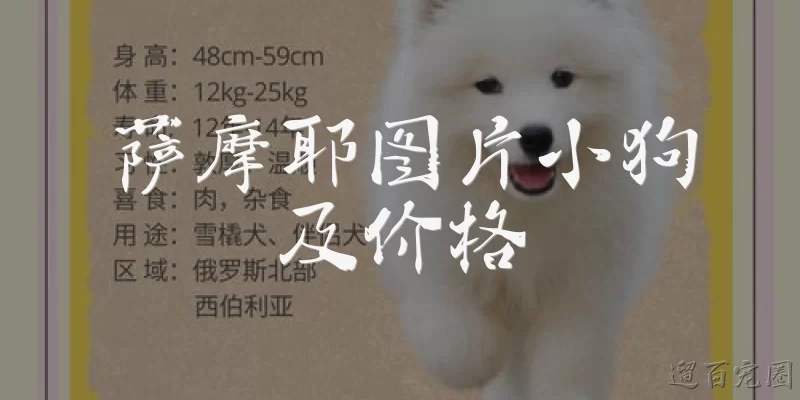 萨摩耶图片小狗及价格:想买一只萨摩耶小狗，目前市场价格大概是多少？