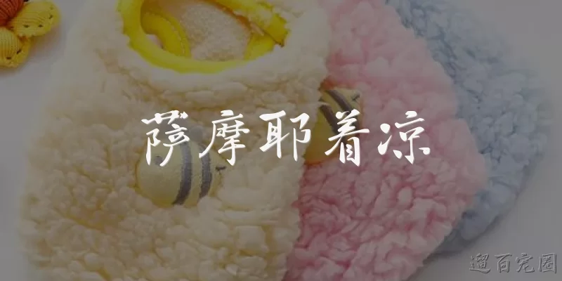 萨摩耶着凉:萨摩耶着凉后有哪些常见症状？