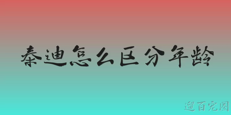 泰迪怎么区分年龄