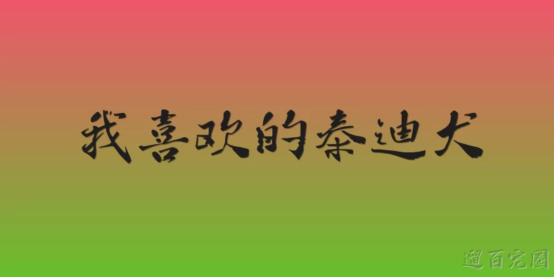 我喜欢的泰迪犬
