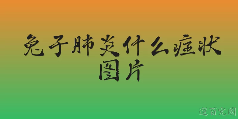兔子肺炎什么症状图片