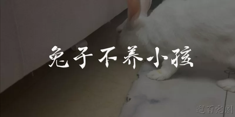 兔子不养小孩:为什么说兔子不养小孩？